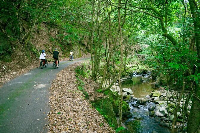 Half Day E Bike Tour in Kasagi Countryside - Discover the Charm of Kyoto’s Countryside on an E-Bike