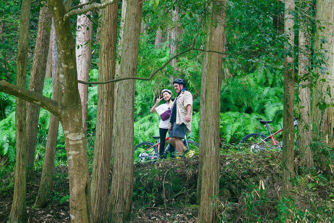 Half Day E Bike Tour in Kasagi Countryside - Key Points