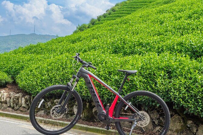 Half Day E Bike Tour in Kasagi Countryside - Final Thoughts