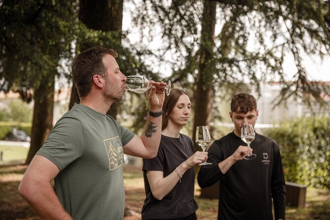 half-day-e-bike-tour-in-prosecco-hills-with-prosecco-tasting