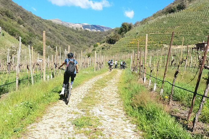 half-day-e-bike-tour-in-prosecco-hills-with-prosecco-tasting