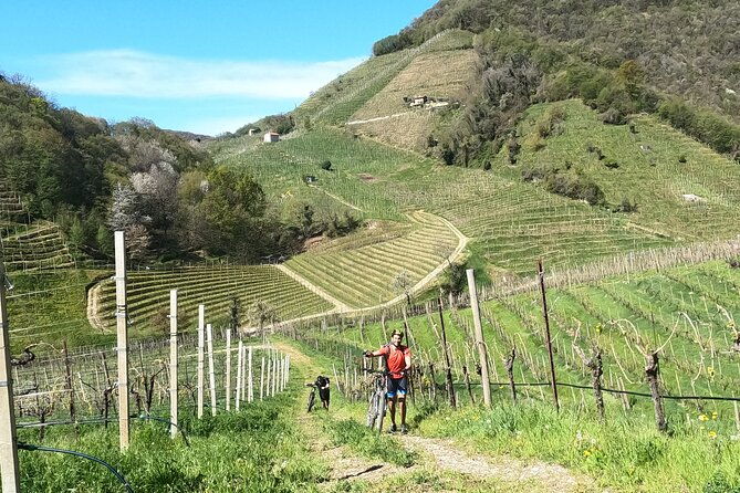 half-day-e-bike-tour-in-prosecco-hills-with-prosecco-tasting