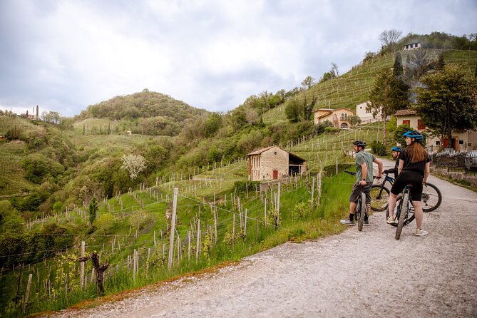 half-day-e-bike-tour-in-prosecco-hills-with-prosecco-tasting