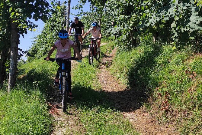 half-day-e-bike-tour-in-prosecco-hills-with-prosecco-tasting