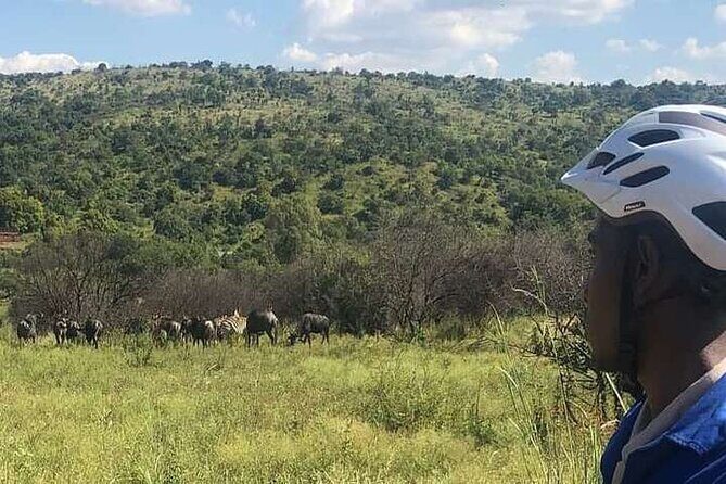 Half Day E-Biking with Wildlife Watching in Pretoria - Key Points