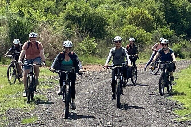 Half Day E-Biking with Wildlife Watching in Pretoria - Why This Tour Is a Great Choice
