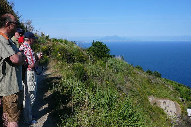 half-day-east-coast-hike-in-ischia-island-with-pick-up