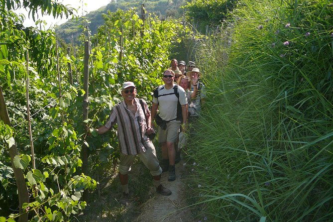 half-day-east-coast-hike-in-ischia-island-with-pick-up