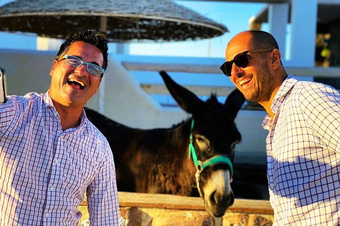 half-day-easy-and-fun-taste-of-santorini