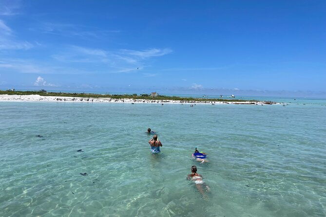 half-day-eco-and-dolphin-boat-tour-in-siesta-key