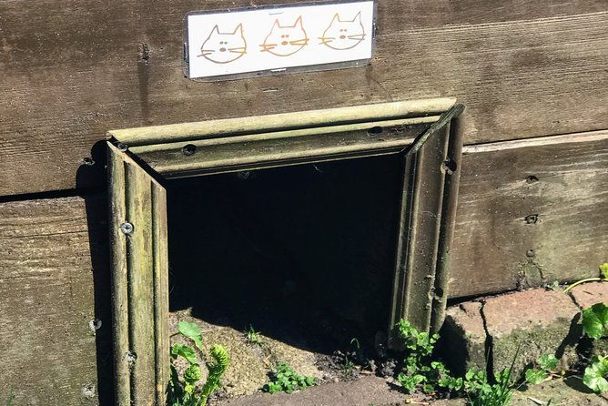 half-day-edam-and-volendam-private-walking-tour-from-amsterdam