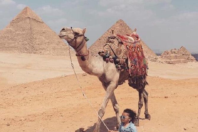 Half-Day Egypt Countryside Farm Tour. - Who Will Enjoy This Tour?