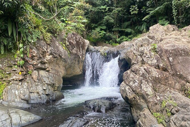 half-day-el-yunque-and-waterslides-adventure-from-fajardo