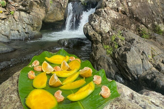 half-day-el-yunque-and-waterslides-adventure-from-fajardo