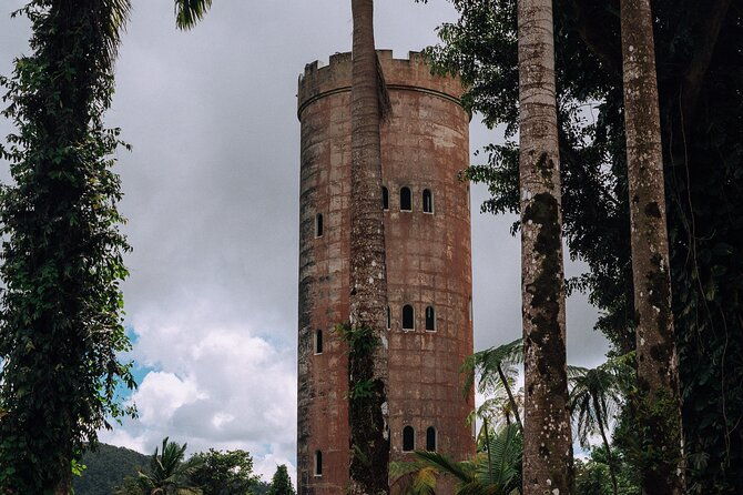 half-day-el-yunque-national-forest-tour-from-san-juan