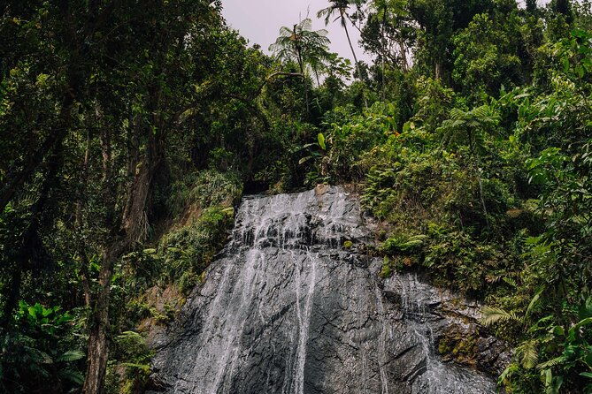 half-day-el-yunque-national-forest-tour-from-san-juan