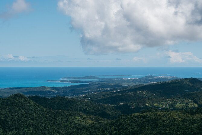 half-day-el-yunque-national-forest-tour-from-san-juan
