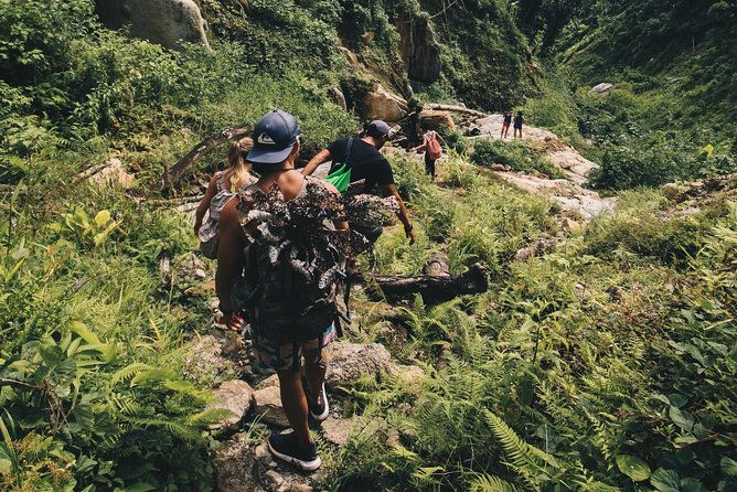 half-day-el-yunque-rainforest-and-waterslide-guided-tour