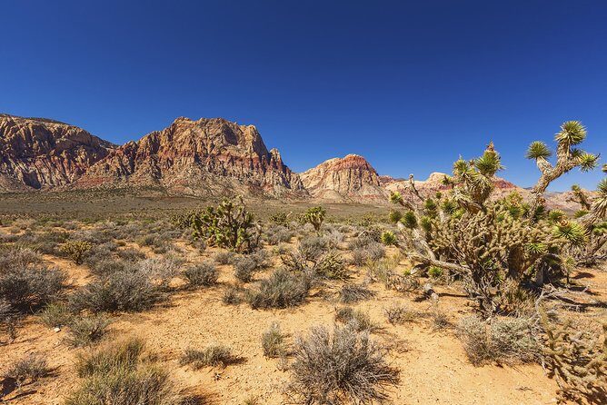 Half-Day Electric Bike Tour of Red Rock Canyon - Key Points