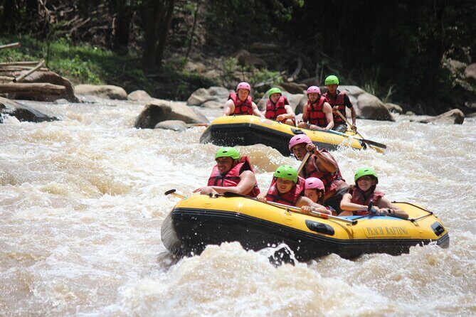 Half Day Elephant care and Whitewater Rafting Adventure - What Makes This Tour Stand Out