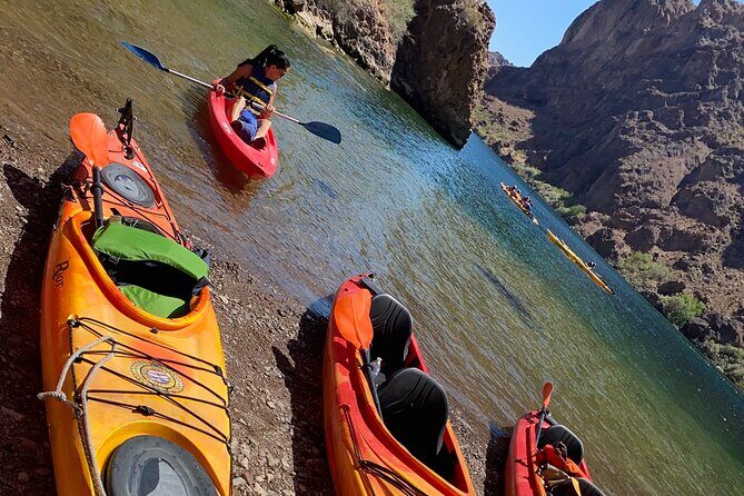 Half-Day Emerald Cave Kayak Tour with Optional Transportation - Who Should Consider This Tour?