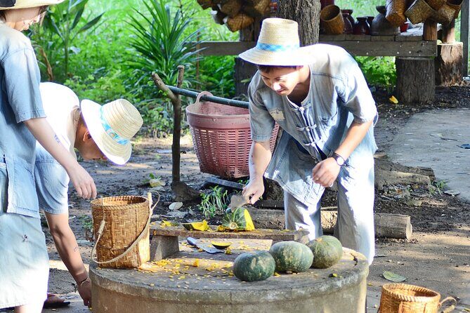 Half day Ethnic Elephant Sanctuary and Bee Farm - Key Points