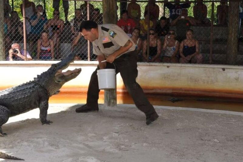 half-day-everglades-airboat-tours-and-transportation