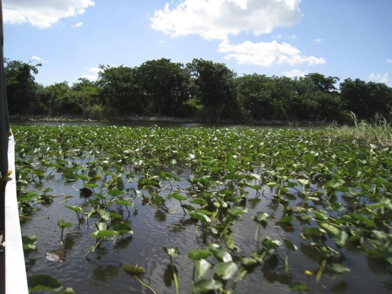 half-day-everglades-airboat-tours-and-transportation
