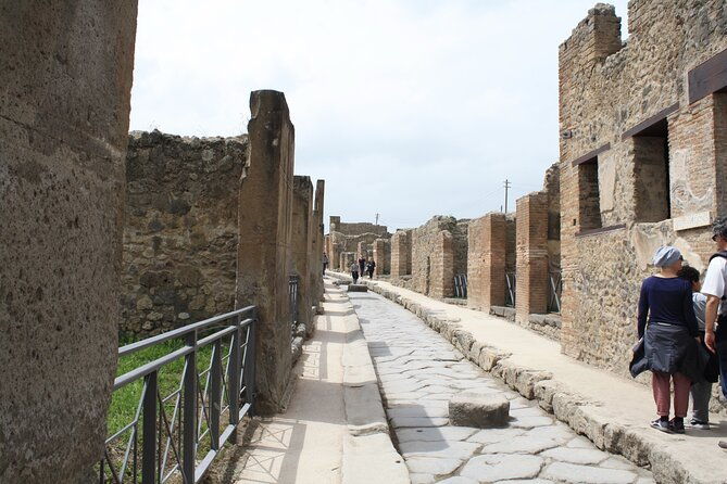 half-day-exclusive-private-tour-of-pompeii-and-herculaneum