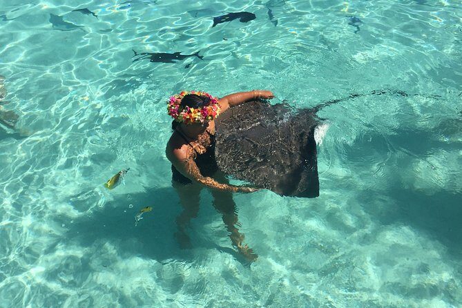 Half day Excursion, Drift Snorkeling Lagoon Adventure. 3H - A Complete Look at the Moorea Lagoon Drift Snorkeling Adventure