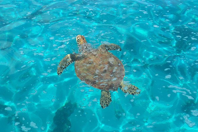 Half day Excursion, Drift Snorkeling Lagoon Adventure. 3H - The Value of this Lagoon Adventure