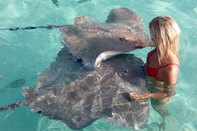 Half day Excursion, Drift Snorkeling Lagoon Adventure. 3H - Who is This Tour Best For?