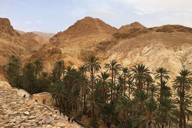 Half-day excursion the mountain oases from Tozeur - Introduction