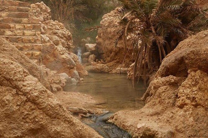 Half-day excursion the mountain oases from Tozeur - The Authentic Experience & Real Traveler Insights
