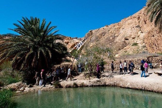Half-day excursion the mountain oases from Tozeur - Who Would Love This Tour?