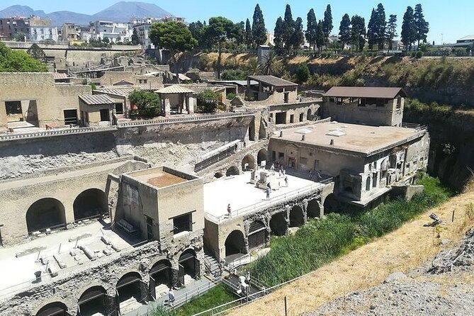 half-day-excursion-to-herculaneum-from-naples-with-lunch