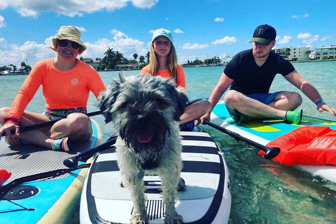 half-day-excursion-to-johns-pass-sandbar-mangrove-tunnel-2