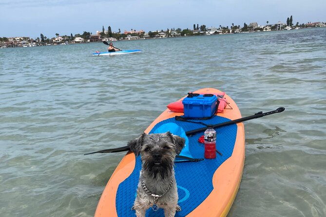 half-day-excursion-to-johns-pass-sandbar-mangrove-tunnel