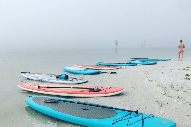 half-day-excursion-to-johns-pass-sandbar-mangrove-tunnel