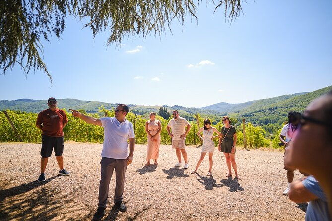 half-day-experience-to-san-gimignano-hills-with-picnic-and-wine-4