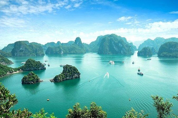 Half Day Explore Halong Bay With Lunch, Sung Sot Cave, Titop Island and Kayaking - Who Should Book This Tour?