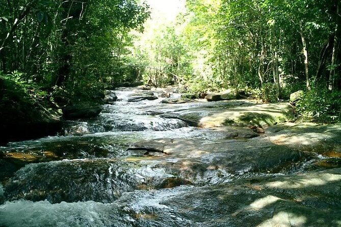 Half-day Exploring Phu Quoc Island by Bicycle - What We Love About this Tour