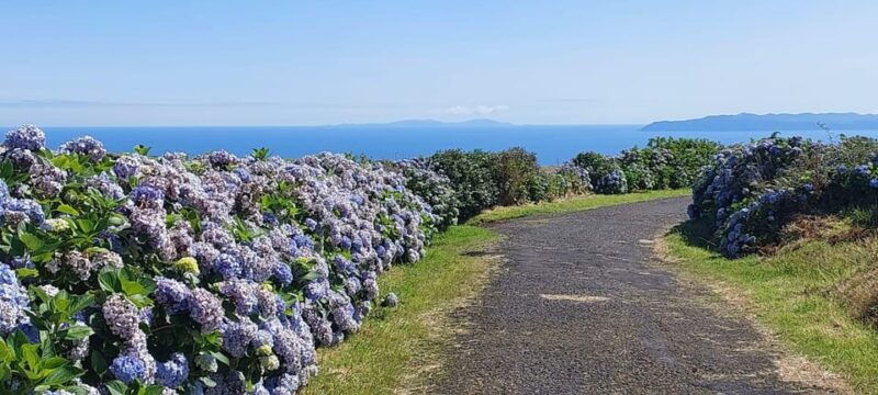 half-day-faial-island-tour