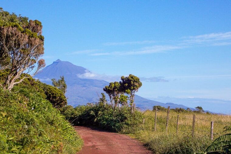 half-day-faial-island-tour