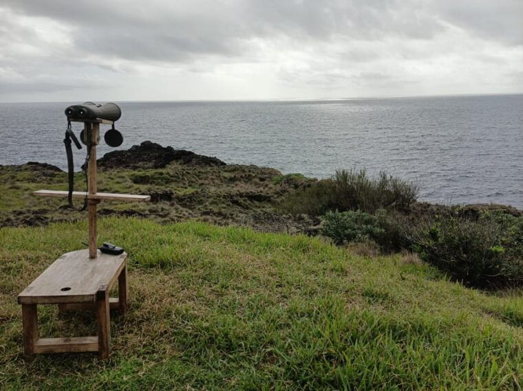 half-day-faial-island-tour