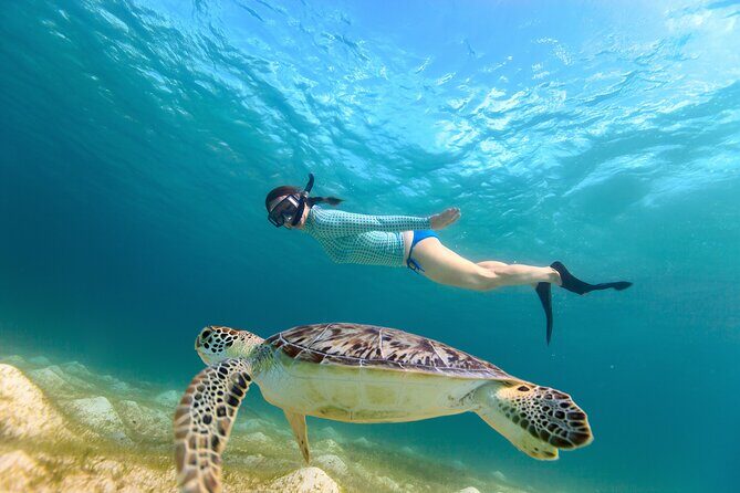 Half-Day Florida Keys Catamaran Snorkel Adventure - The Itinerary: What to Expect