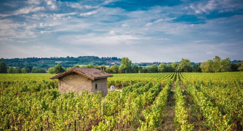 half-day-food-and-wine-experience-in-franciacorta