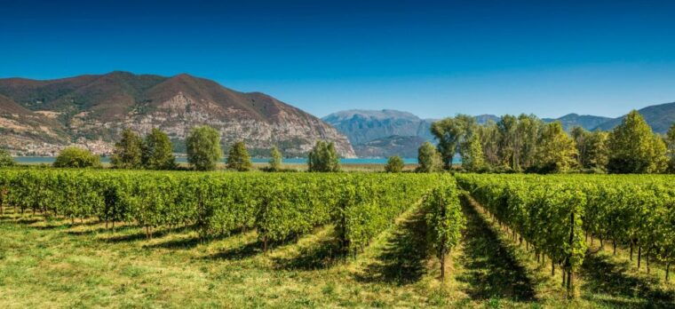 half-day-food-and-wine-experience-in-franciacorta