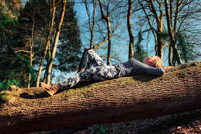 half-day-forest-bathing-and-yoga-in-brightons-woodlands
