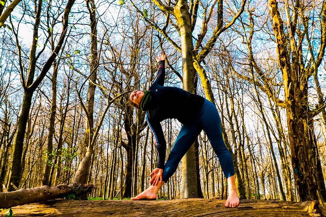 half-day-forest-bathing-and-yoga-in-brightons-woodlands